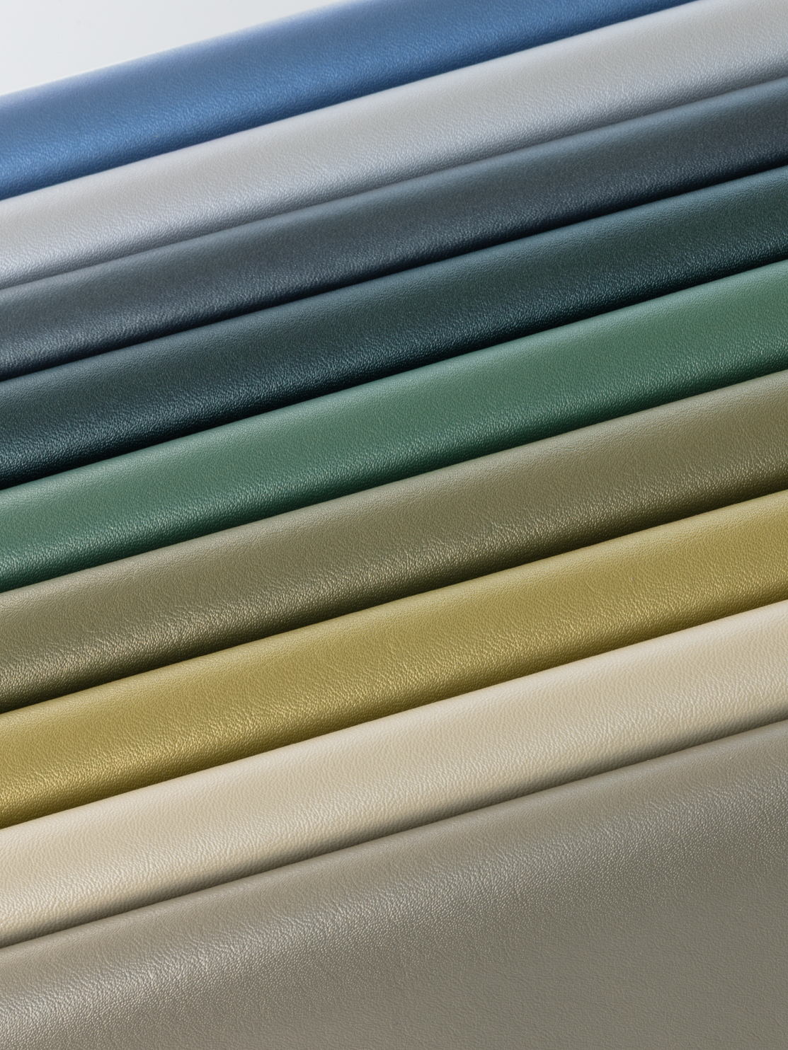 Additional image of Ether 019 Talipot