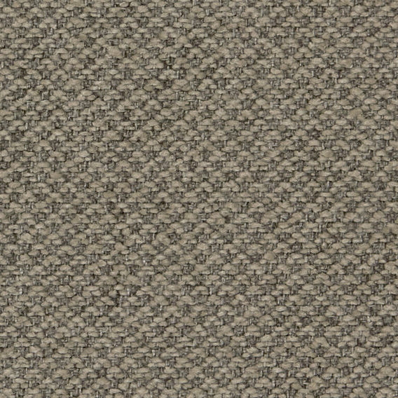 Detail image of Facet 003 Fossil