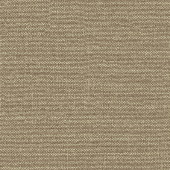 Detail image of Simple 006 Bronze