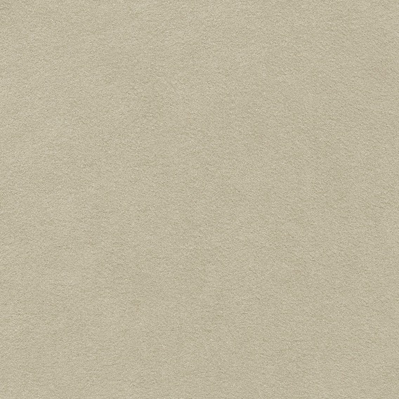 Detail image of Ultrasuede 067 Sandstone