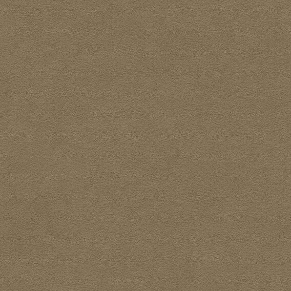 Detail image of Ultrasuede 071 Wood
