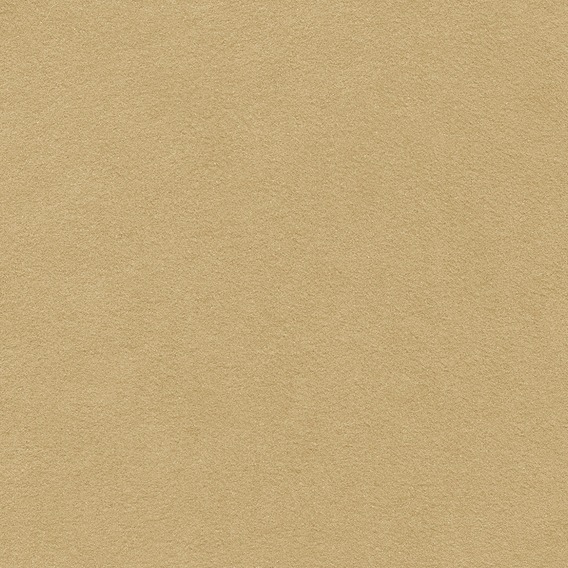 Detail image of Ultrasuede 074 Sand