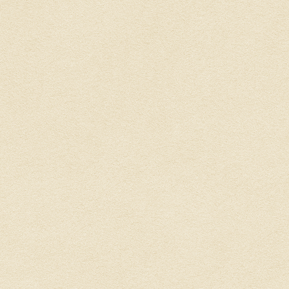 Detail image of Ultrasuede 077 Natural Tan