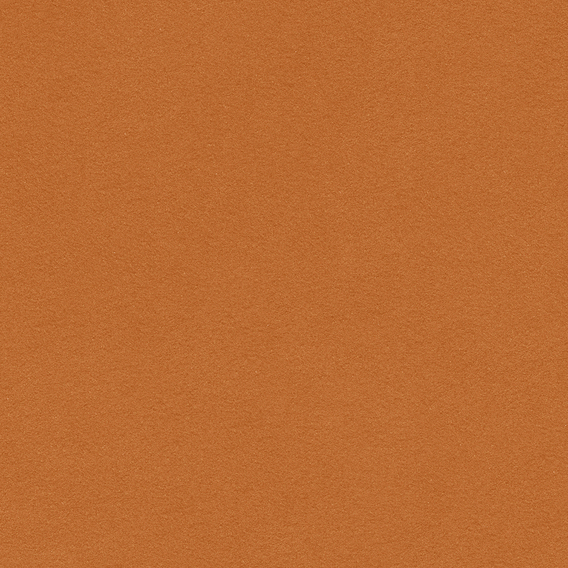 Detail image of Ultrasuede 079 Clove