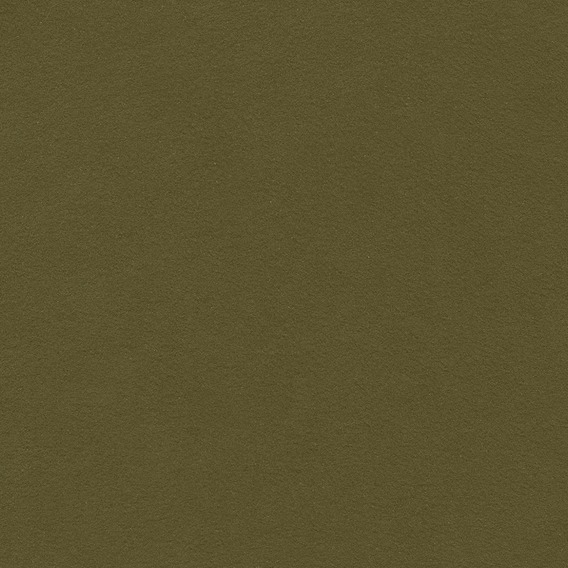 Detail image of Ultrasuede 083 Moss