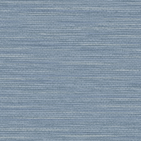 Detail image of Splendid 005 Blue Jay