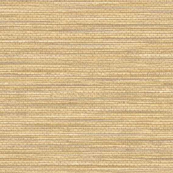 Detail image of Splendid 007 Lioness