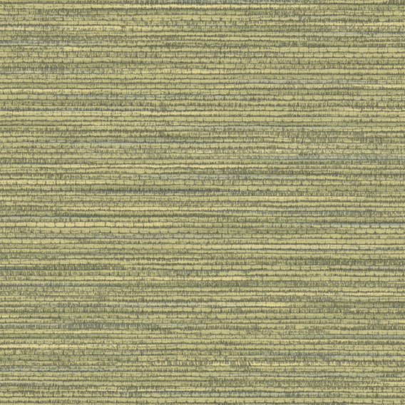 Detail image of Splendid 008 Caterpillar