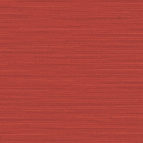 Detail image of Splendid 010 Lovebird