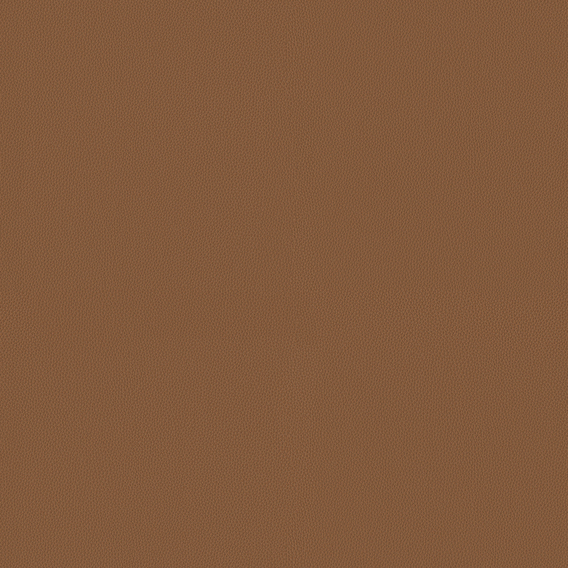 Detail image of Olympia 007 Morel