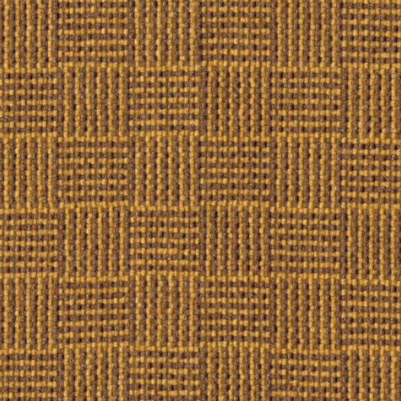 Detail image of Altiplano 005 Grain