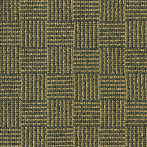 Detail image of Altiplano 006 Moss