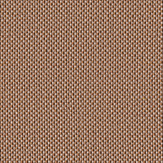 Detail image of Morocco, 1966 008 Porcini