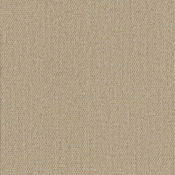 Detail image of Reveal 003 Torrid