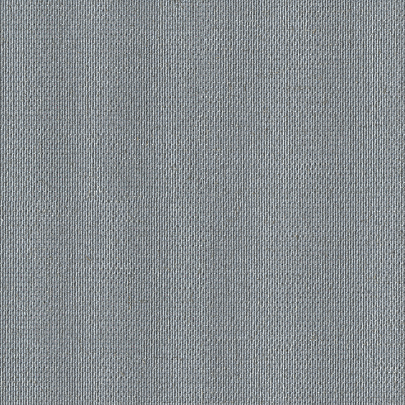 Detail image of Reveal 006 Silvered