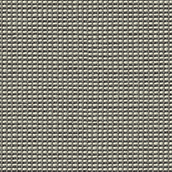 Detail image of Cato, 1961 061 Habitual