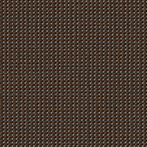 Detail image of Cato, 1961 063 Carob