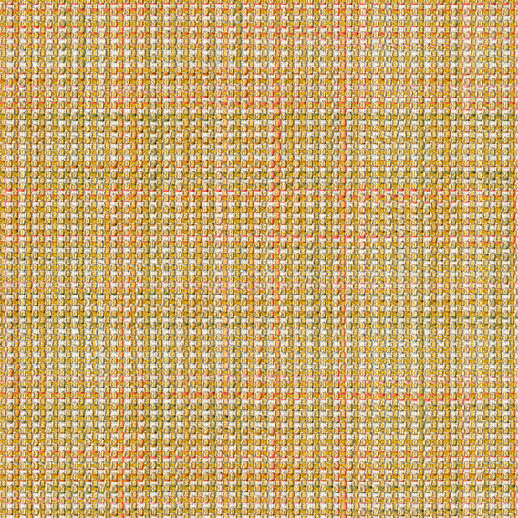 Detail image of Pico 003 Firefly