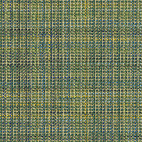 Detail image of Pico 008 Anjou