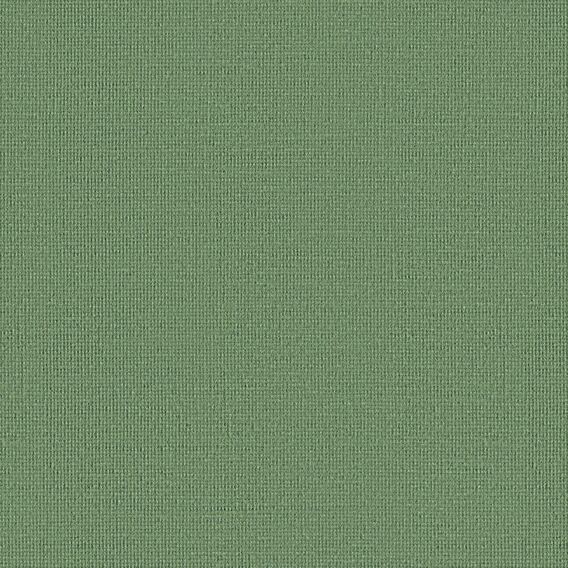 Detail image of Adage 012 Germinate