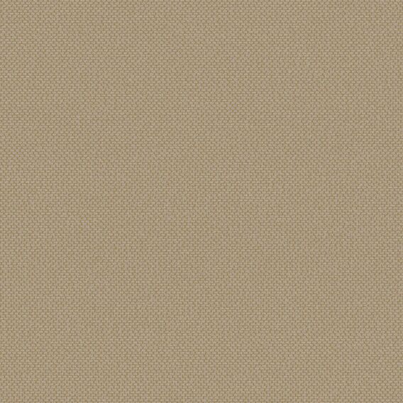 Detail image of Heirloom 002 Veery