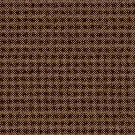Detail image of Heirloom 008 Logwood
