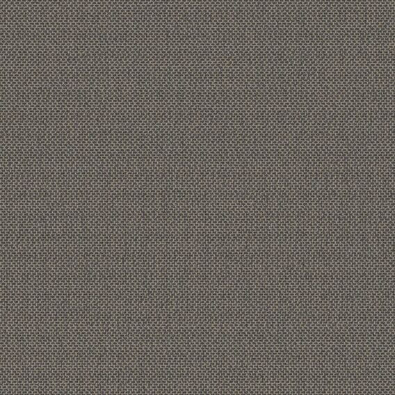 Detail image of Heirloom 011 Epoch