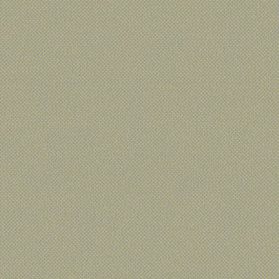 Detail image of Heirloom 021 Budding