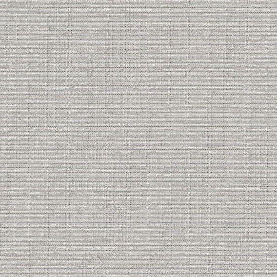 Detail image of Index 012 Rhino