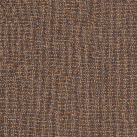 Detail image of Premise 001 Handsome