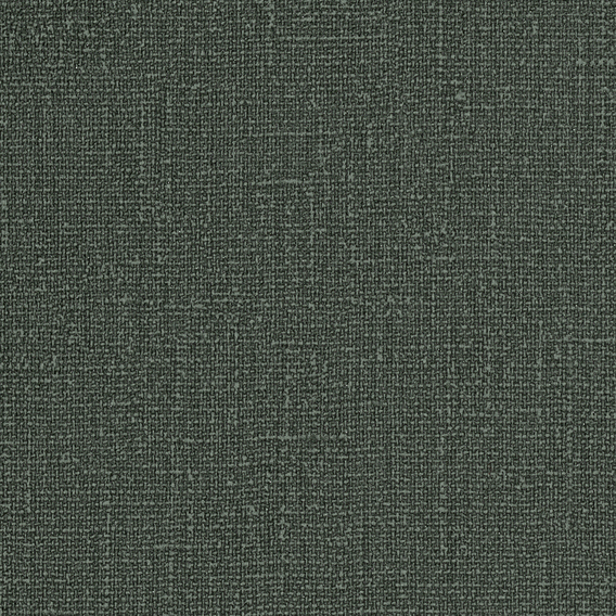 Detail image of Premise 018 Cimmerian