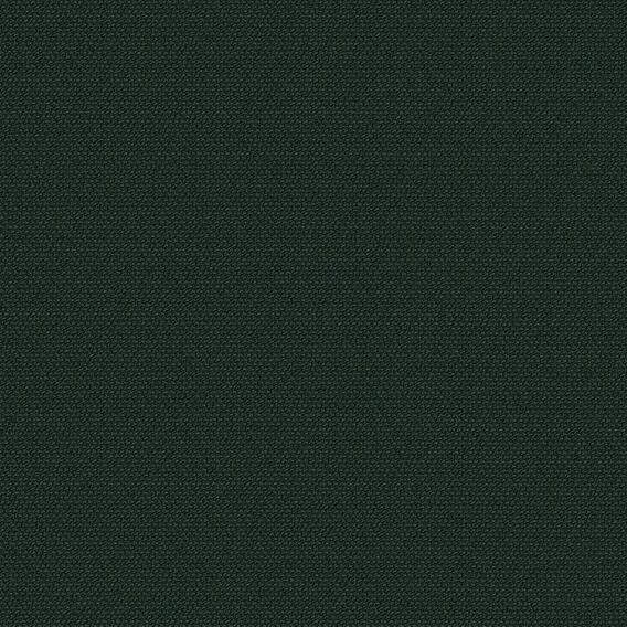 Detail image of Alp 028 Botany
