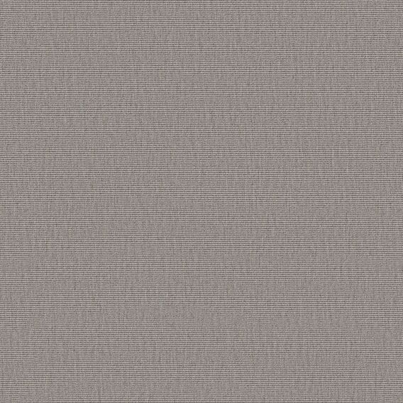 Detail image of Conifer 003 Quaint