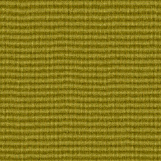 Detail image of Conifer 011 Tart