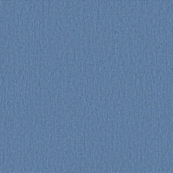 Detail image of Conifer 015 Bluebell