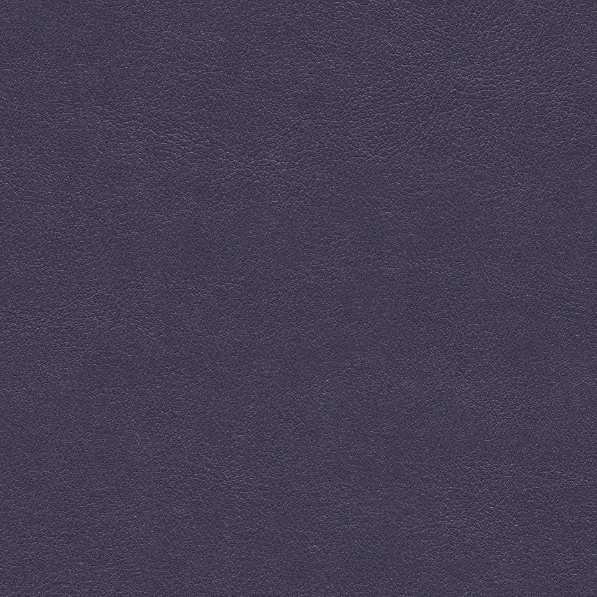 Detail image of Chameleon 004 Jam