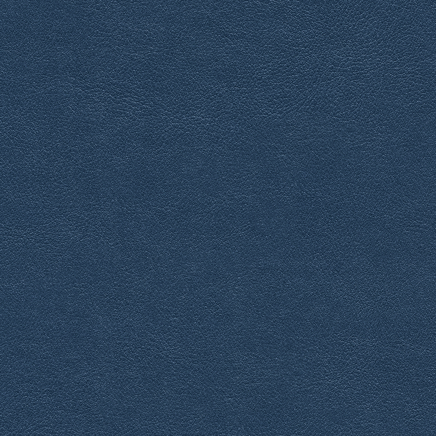 Detail image of Chameleon 008 Ocean