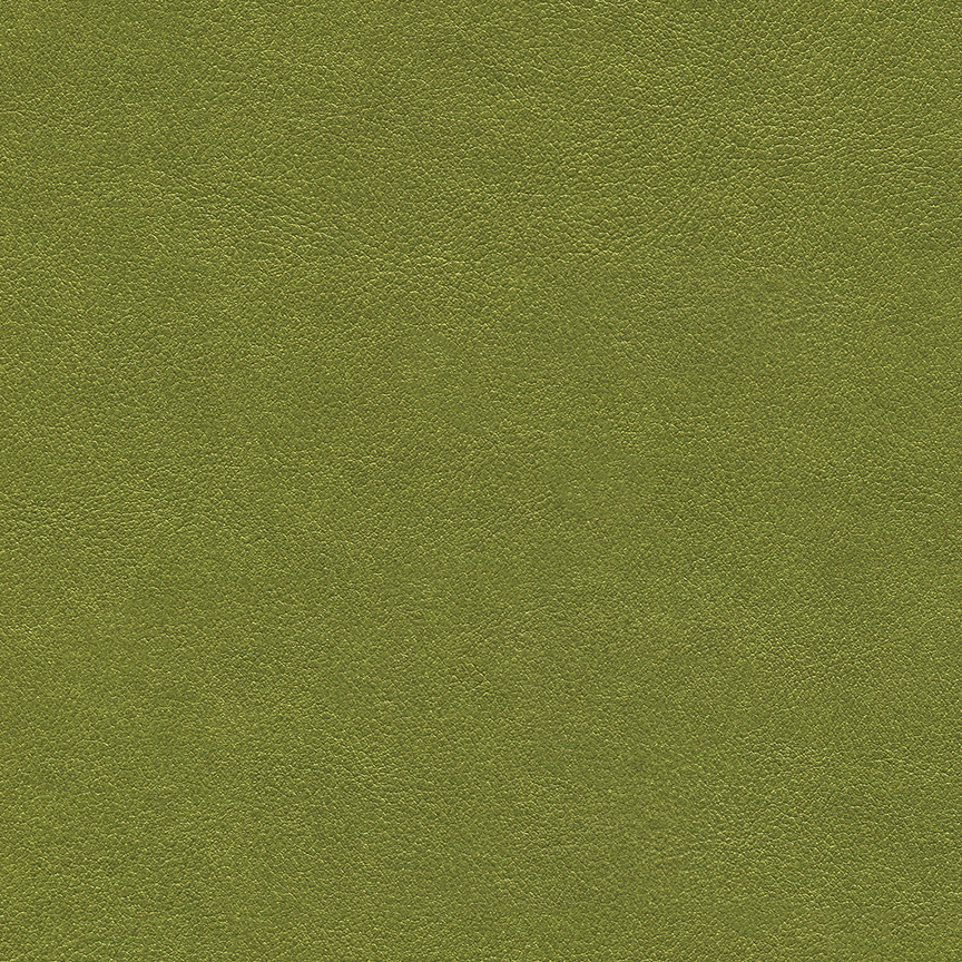 Detail image of Chameleon 009 Grassland