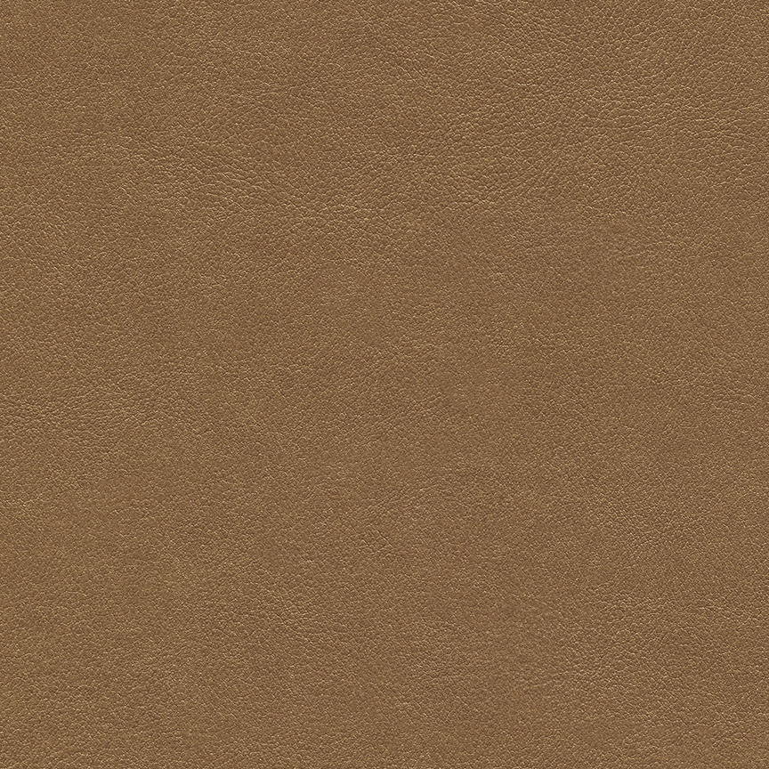 Detail image of Chameleon 011 Amaretto