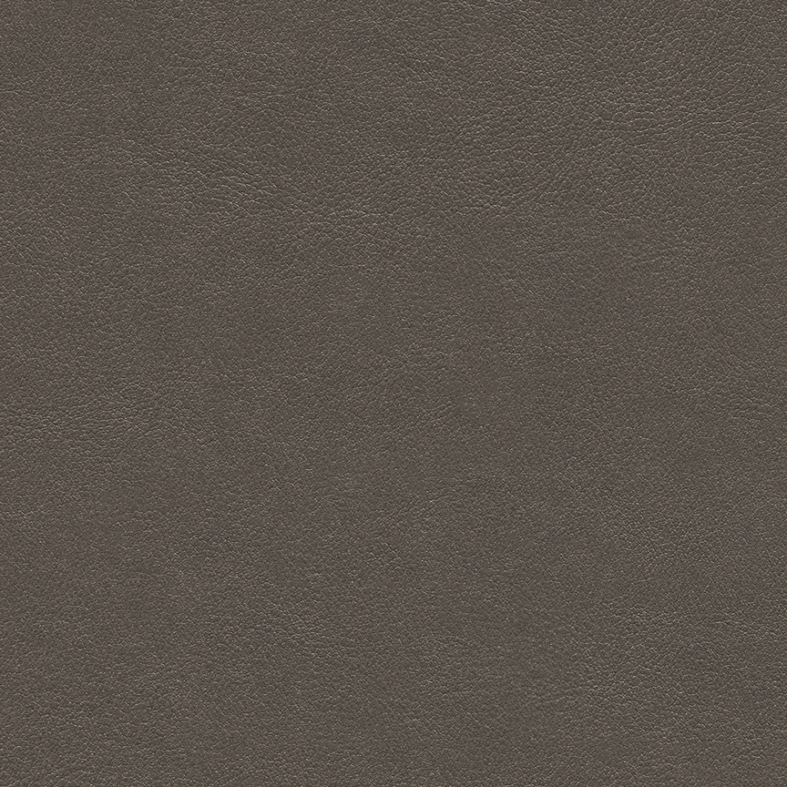 Detail image of Chameleon 012 Timber