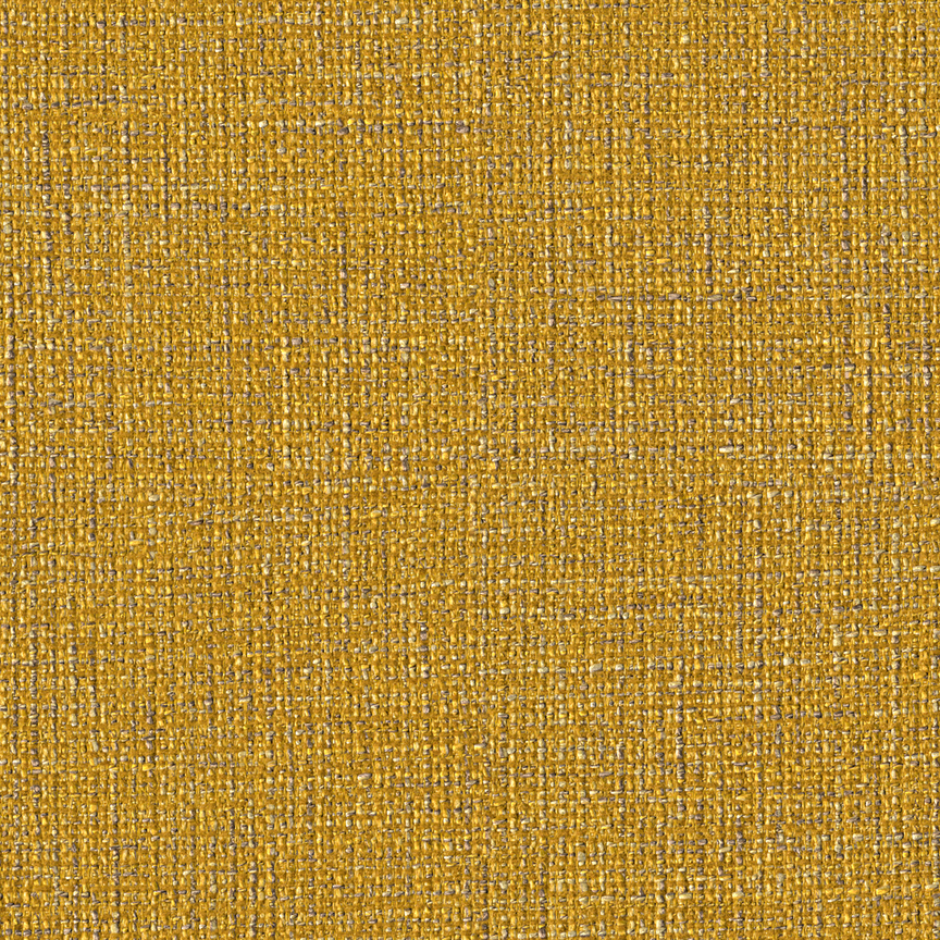 Detail image of Diva 002 Daffodil