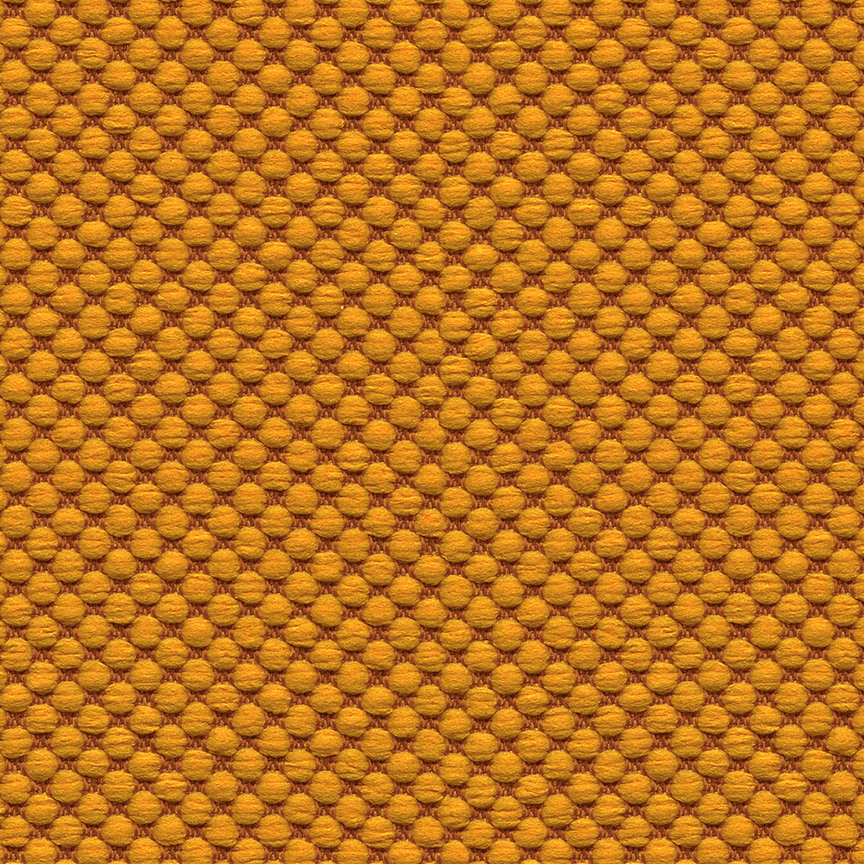 Detail image of Dottie 004 Harvest