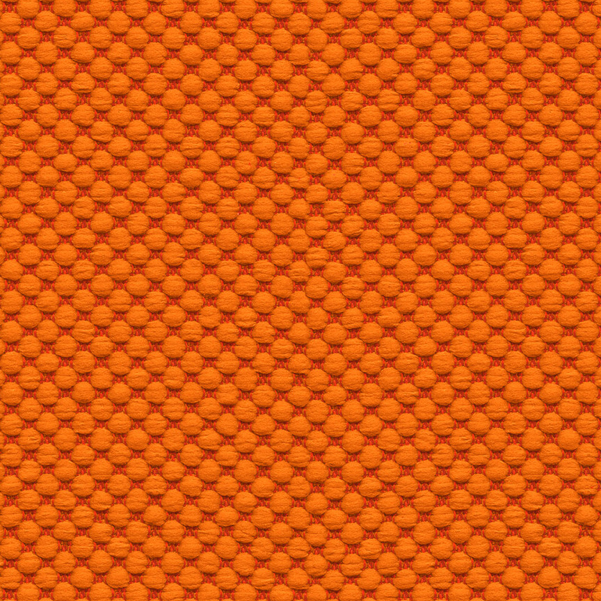 Detail image of Dottie 005 Carrot