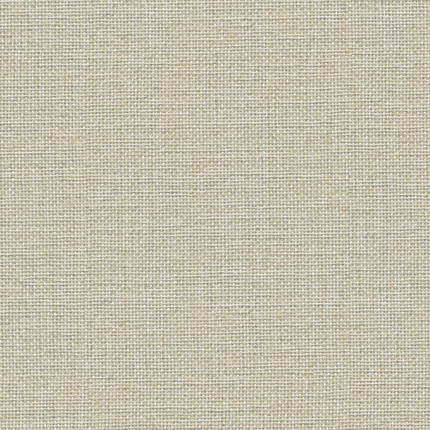 Detail image of Glance 003 Sand Dollar