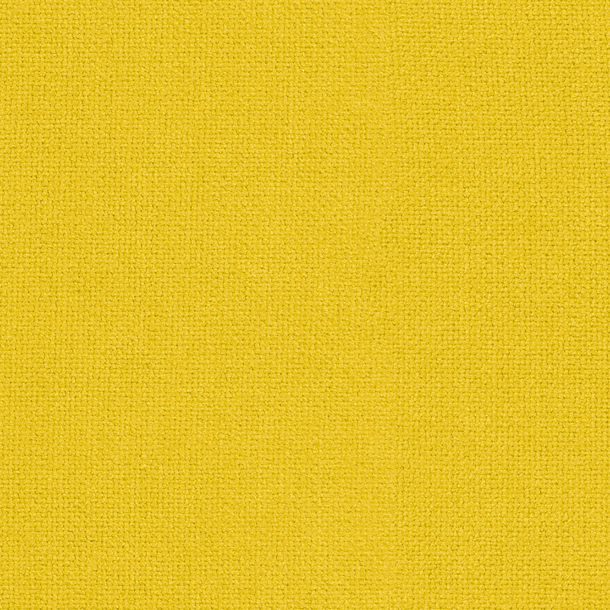 Detail image of Instinct 003 Dandelion