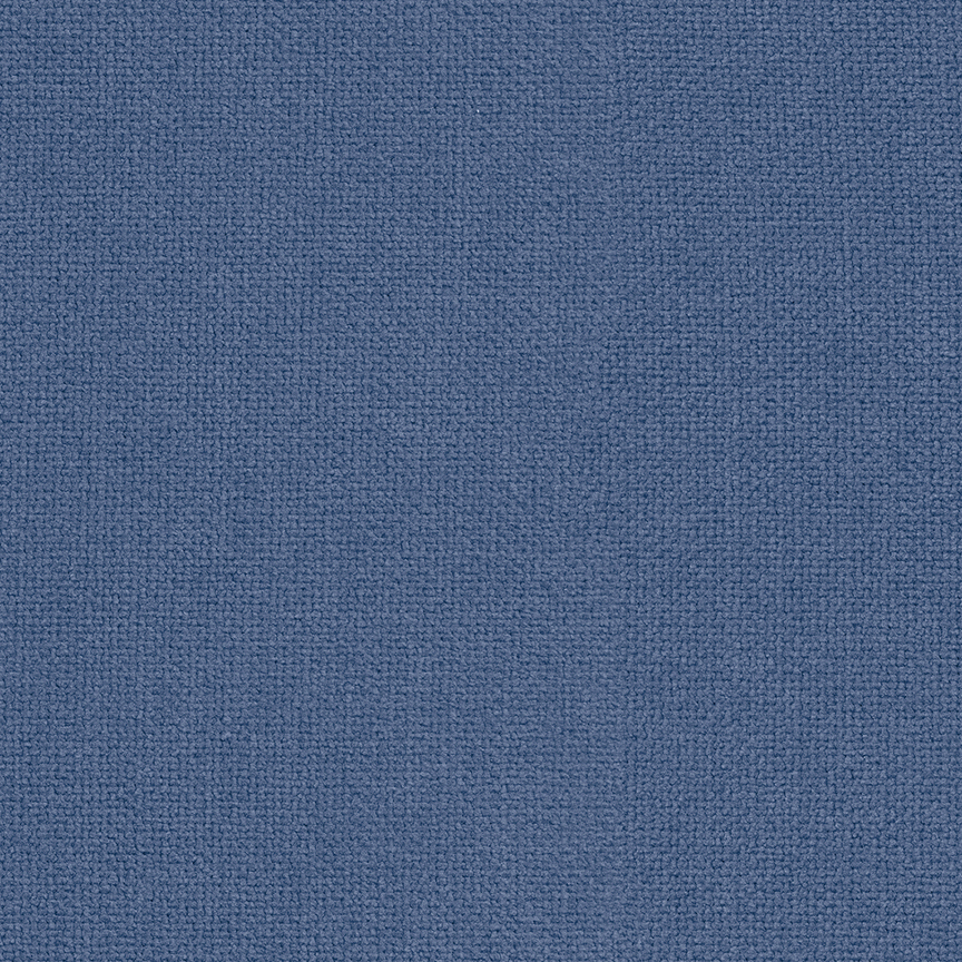 Detail image of Instinct 006 Blue Jay