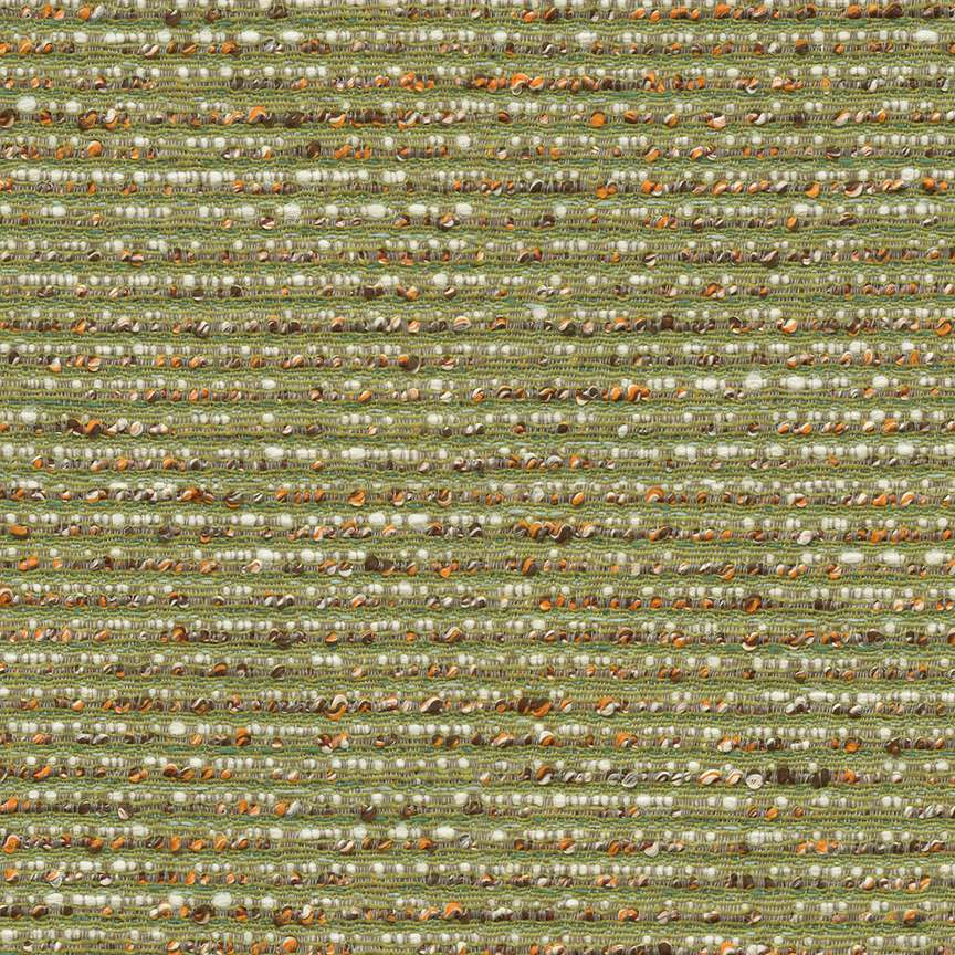 Detail image of Pathway 003 Moss