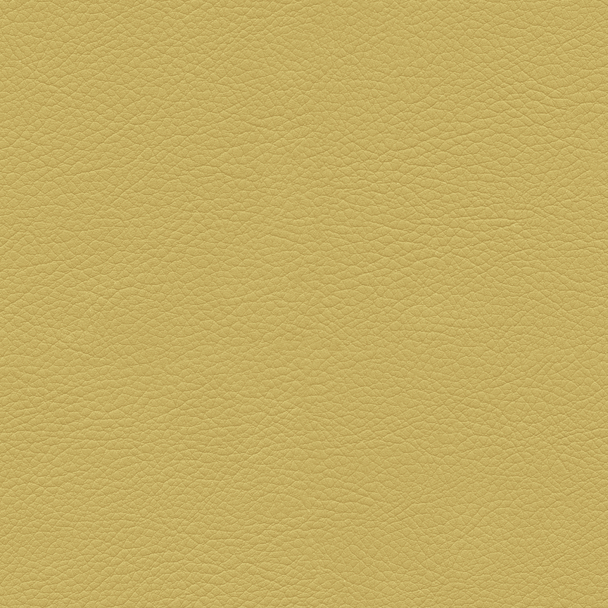 Detail image of Premier 008 Marigold
