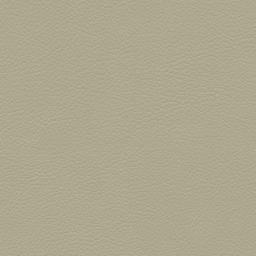Detail image of Premier 011 Antique