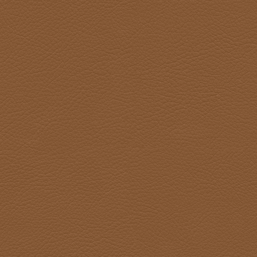 Detail image of Premier 016 Cinnamon